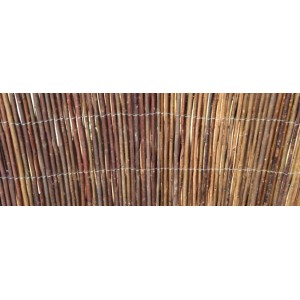 WILLOW FENCE (ΛΥΓΑΡΙΑ ΧΟΝΤΡΗ)